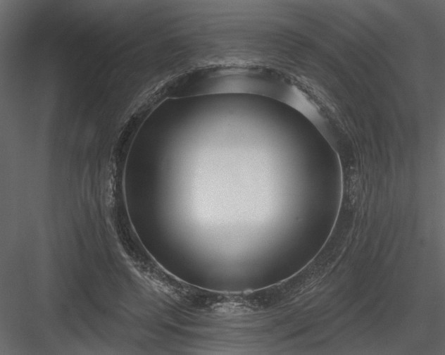 X0000083990544200702232114