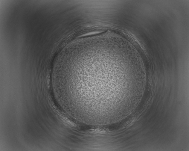 X0000083990545200702232114