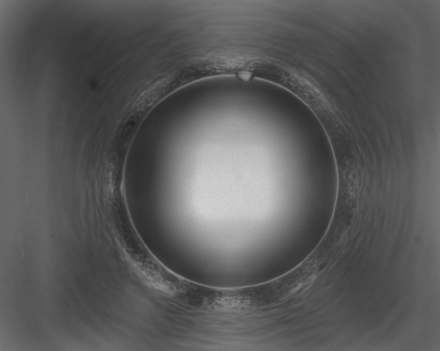 X0000083990546200702232114