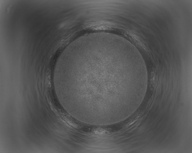 X0000083990547200702232114