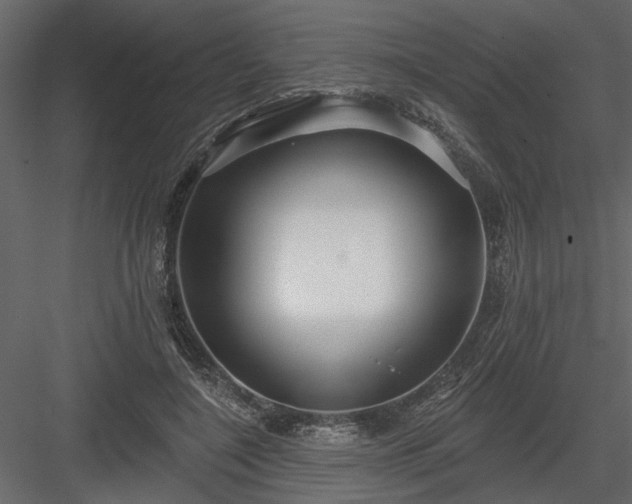 X0000083990548200702232114