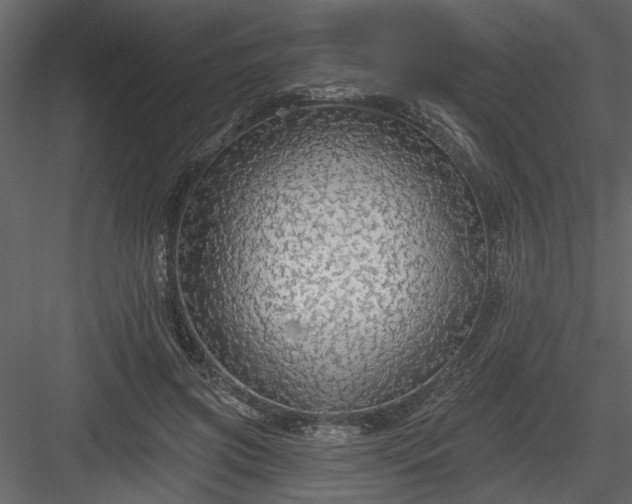 X0000083990549200702232114