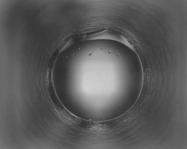 X0000083990550200702232114