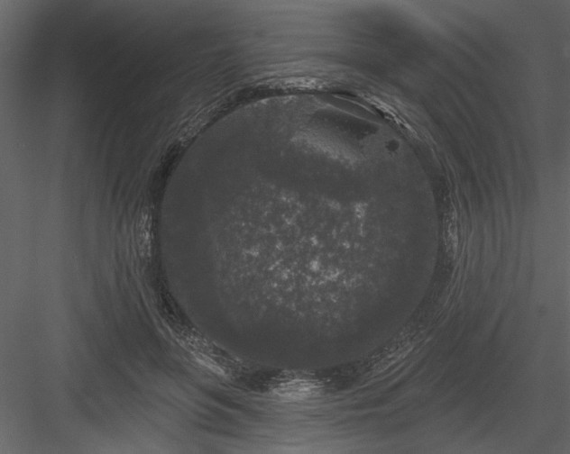 X0000083990551200702232114