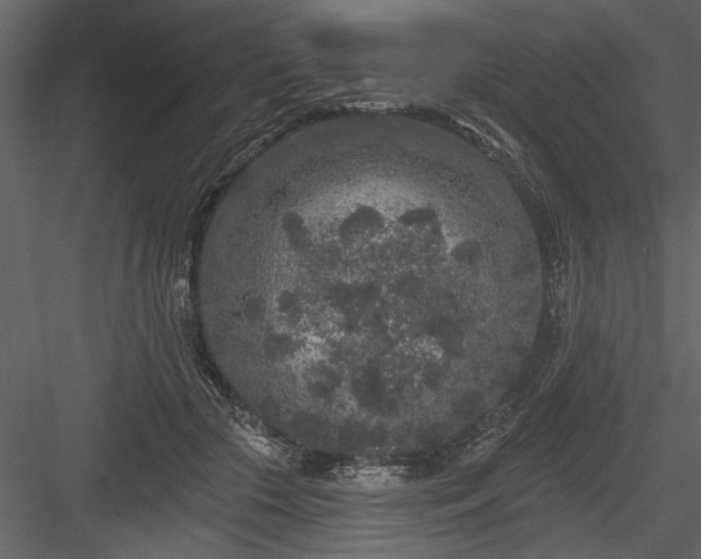 X0000083990553200702232114