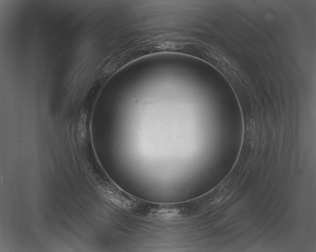 X0000083990554200702232114