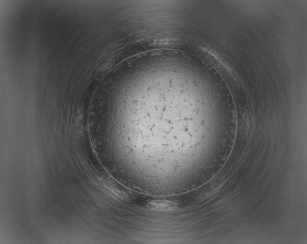 X0000083990557200702232114