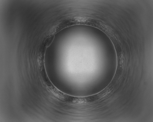 X0000083990559200702232114