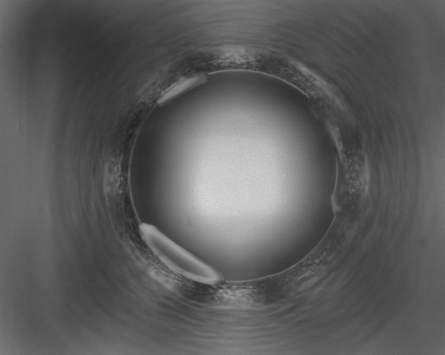 X0000083990560200702232114