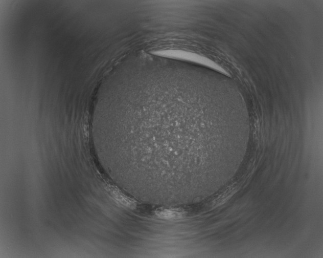 X0000083990561200702232114