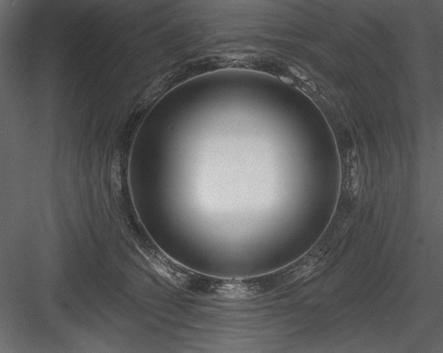 X0000083990562200702232114