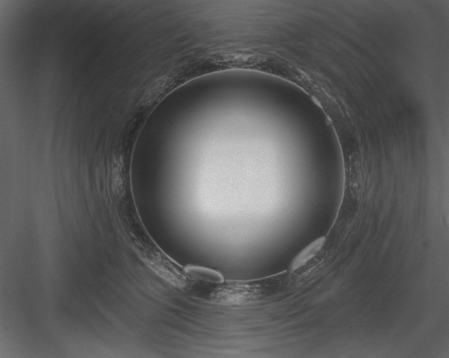 X0000083990563200702232114