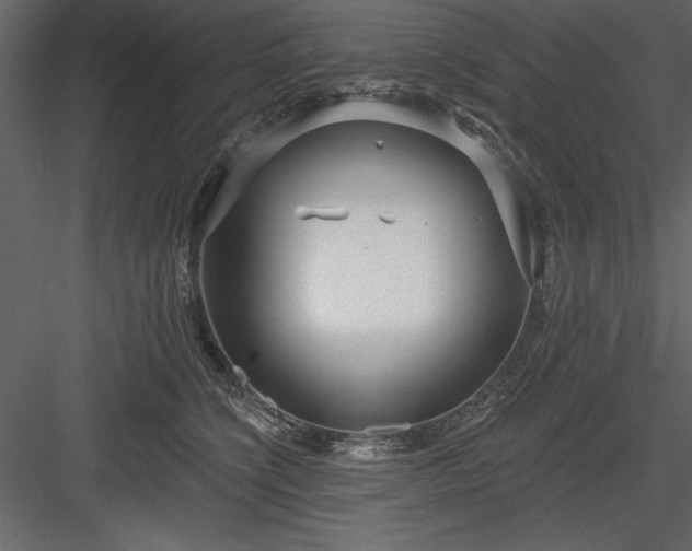 X0000083990564200702232114