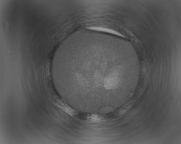 X0000083990565200702232114