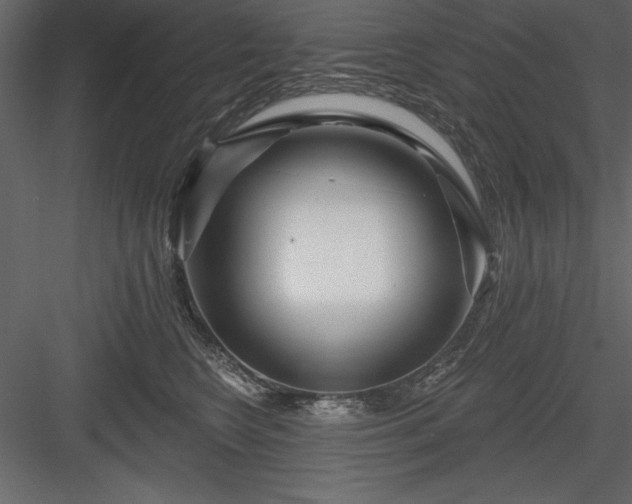 X0000083990566200702232114