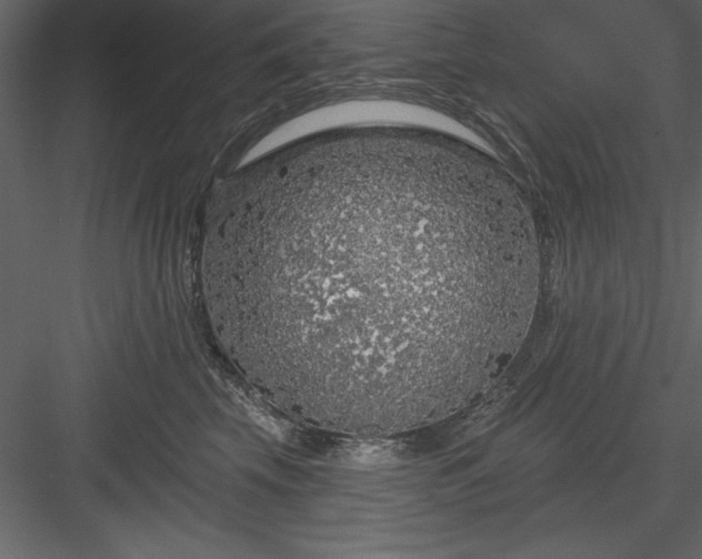 X0000083990569200702232114