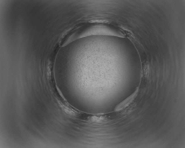 X0000083990570200702232114