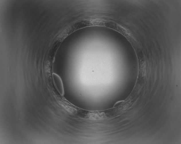 X0000083990571200702232114