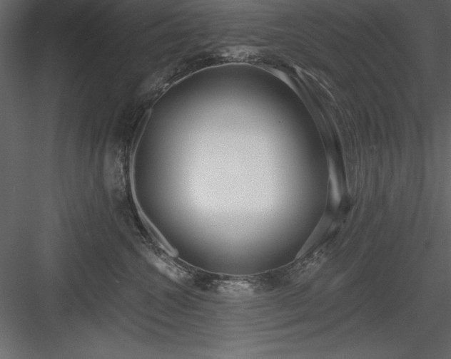 X0000083990572200702232114