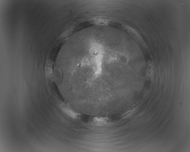 X0000083990573200702232114