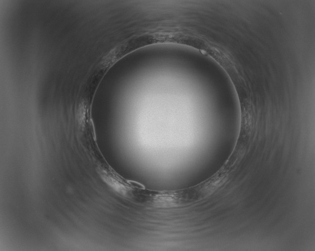 X0000083990574200702232114