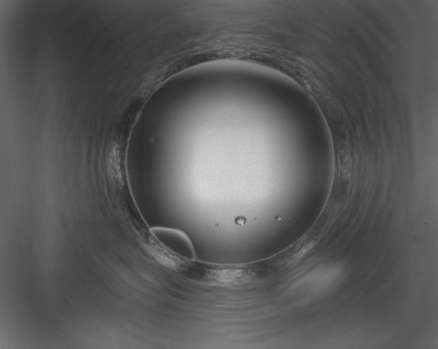 X0000083990575200702232114