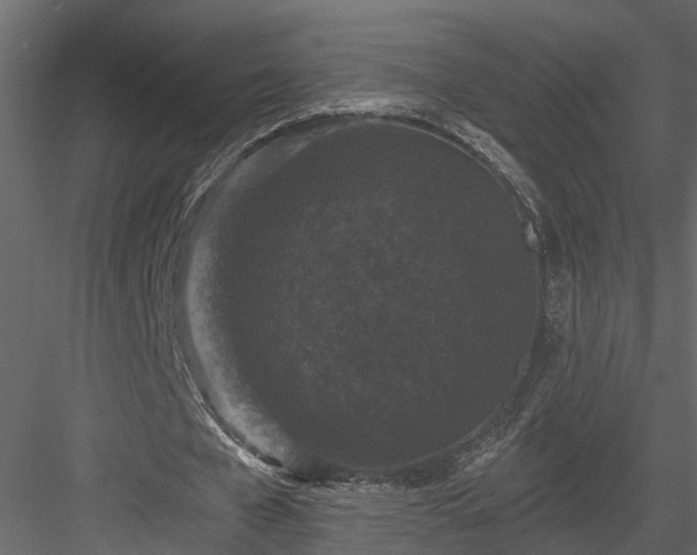 X0000083990577200702232113