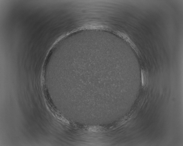 X0000083990579200702232113