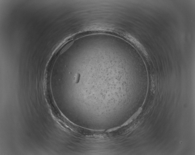 X0000083990580200702232113