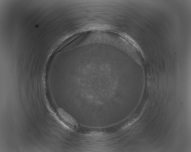 X0000083990581200702232113