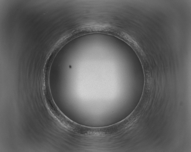 X0000083990582200702232113