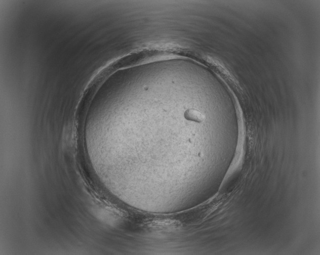 X0000083990583200702232113