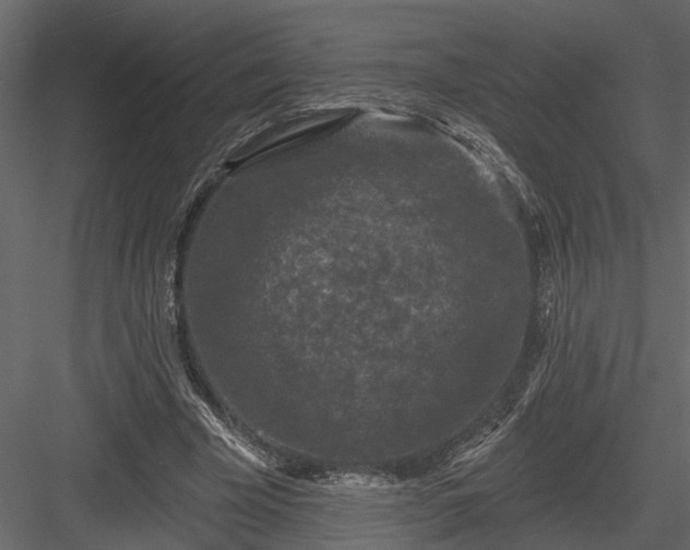 X0000083990585200702232113