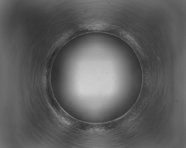 X0000083990586200702232113