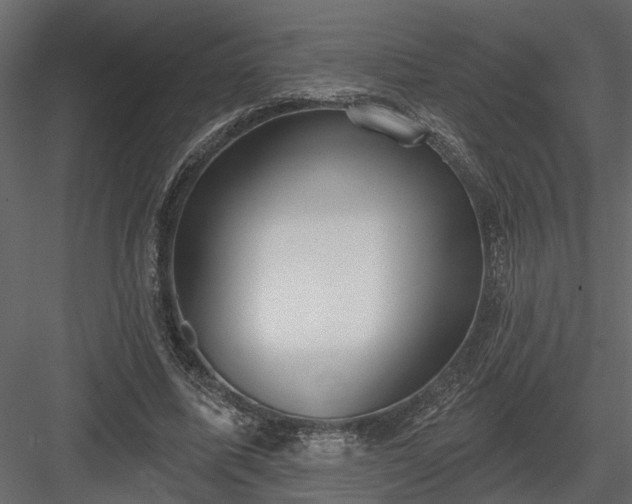 X0000083990587200702232113