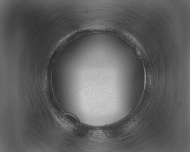 X0000083990588200702232113