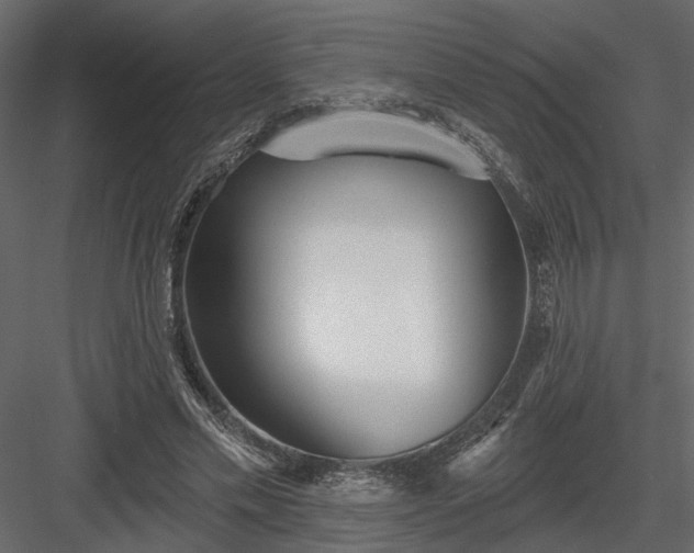 X0000083990589200702232113