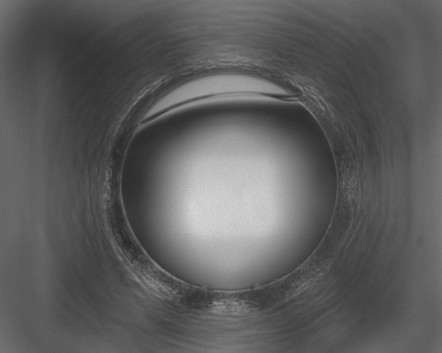 X0000083990591200702232113