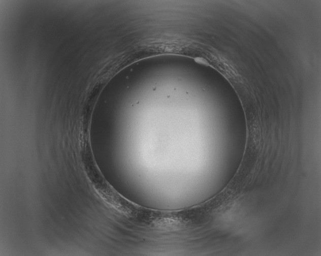 X0000083990594200702232113