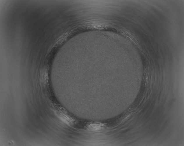 X0000083990595200702232113