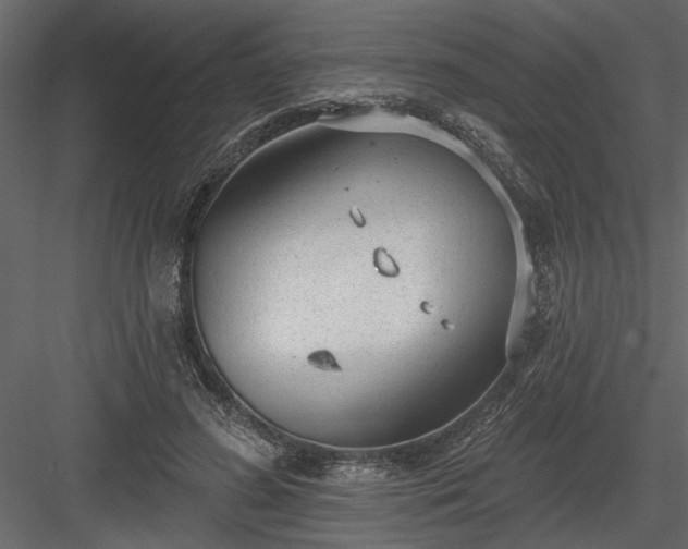 X0000083990596200702232113