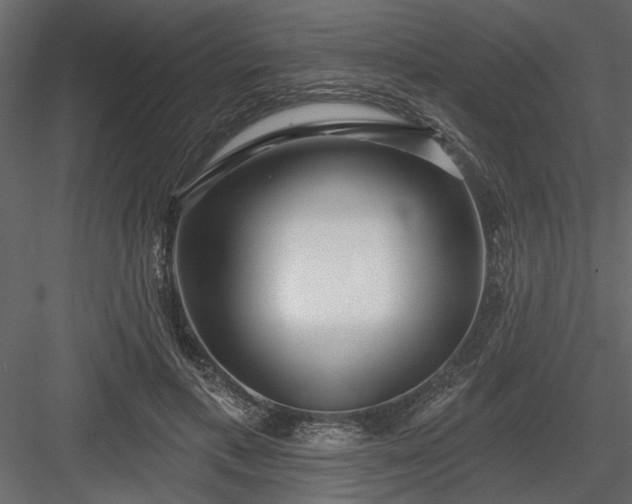 X0000083990597200702232113