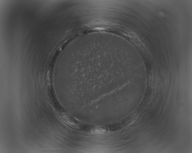 X0000083990598200702232113