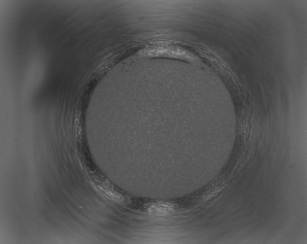 X0000083990599200702232113