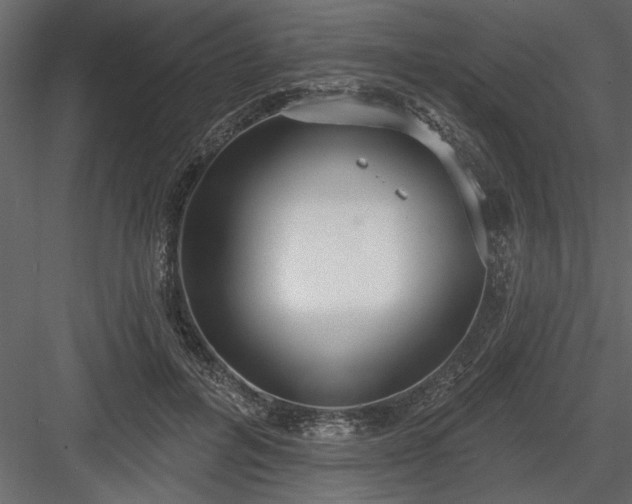 X0000083990600200702232113