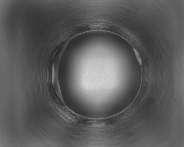 X0000083990601200702232113