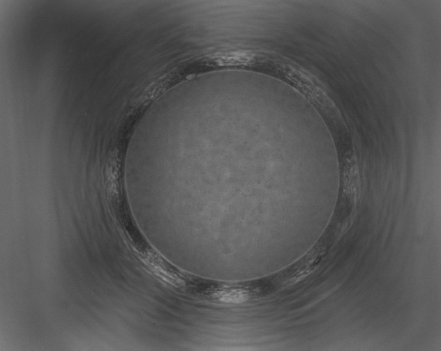 X0000083990604200702232113