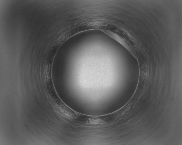 X0000083990605200702232113