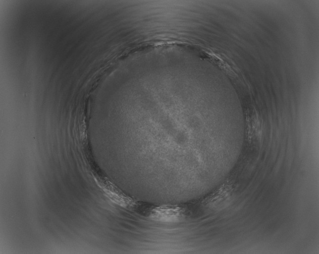 X0000083990606200702232113