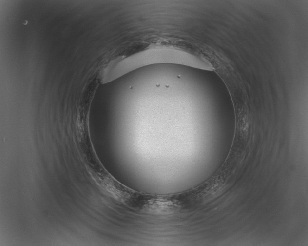 X0000083990607200702232113